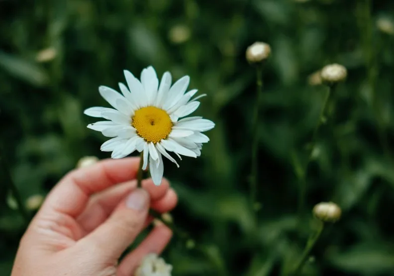 《高功能倖存者》／僅為情境圖，取自unsplash