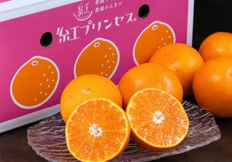 日本愛媛縣耗時近20年培育的高級柑橘新品種「紅公主」（紅プリンセス）。取自豐洲市場網站