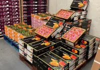 台灣愛文芒果成功打進法國市場！農業部曝將「這樣做」有望銷歐盟27國
