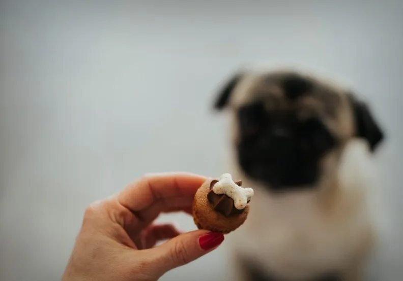 《你需要的不是自律，而是改變行為》／僅為情境圖，取自unsplash