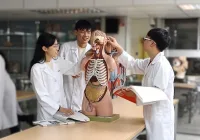 益生菌預防失智症的可能性為何？