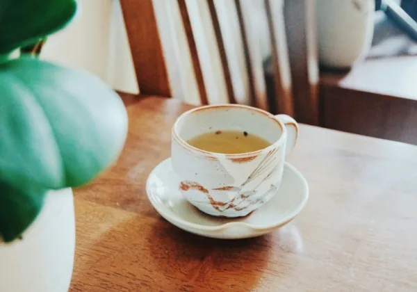 秋分節氣養生吃什麼？來１杯潤肺百合麥冬茶，緩解咳嗽、喉嚨癢
