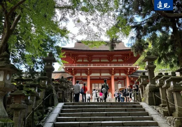 出外旅行不能全當自己家！五熊涉日本國寶潑液案，一次看懂全球旅遊「白目地雷」
