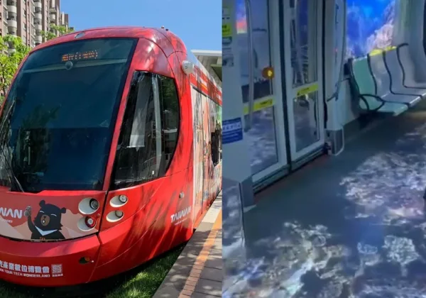 高雄輕軌一次追2輛彩繪列車！「喔熊觀光號」沉浸式登場，蜜柑號9月底退場