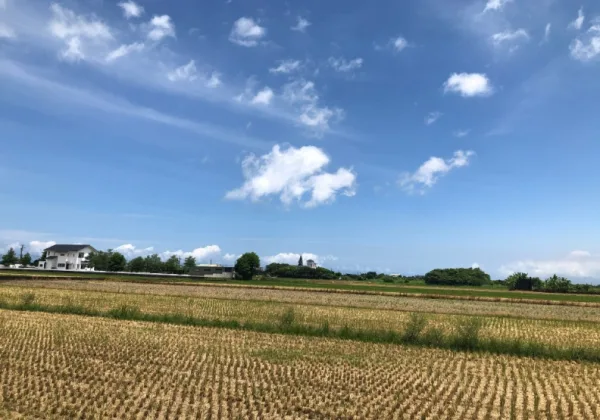 遺產稅優惠為何泡湯？老爸留下的農地被共有人賣掉，他遭補稅200萬