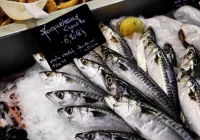 哪些魚種才是Omega-3的真正優質來源？