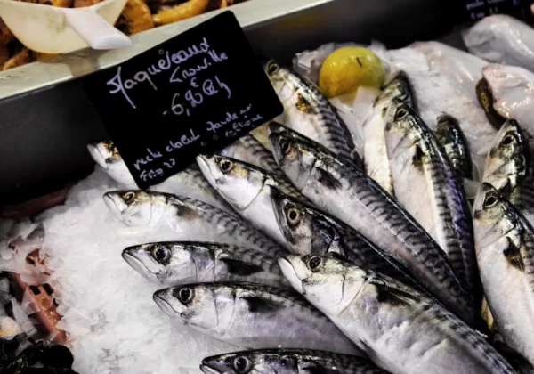 補充Omega-3每週吃魚夠嗎？專家曝：最佳魚種竟不是鮭魚而是「這種魚」