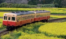 解開駱駝最後一根稻草