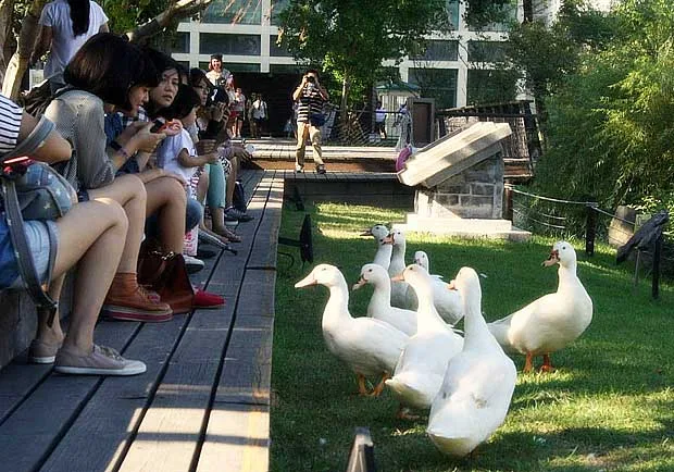 喧囂東區中的另一扇窗