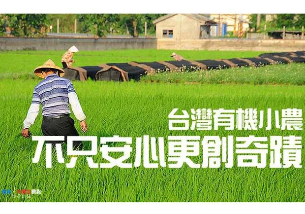 台灣有機小農　不只安心更創奇蹟