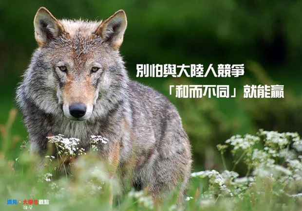別怕與大陸人競爭，「和而不同」就能贏