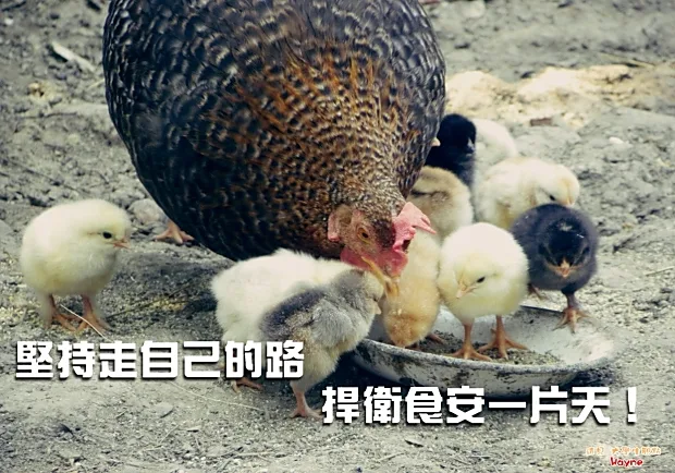 堅持走自己的路，捍衛食安一片天！