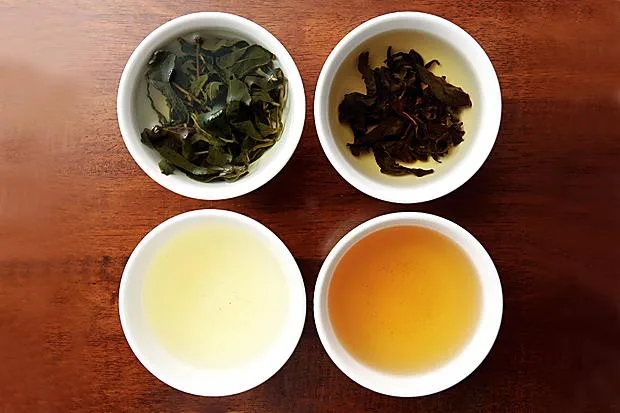 茶葉怎麼看？現在喝什麼茶最好？怎麼泡茶？