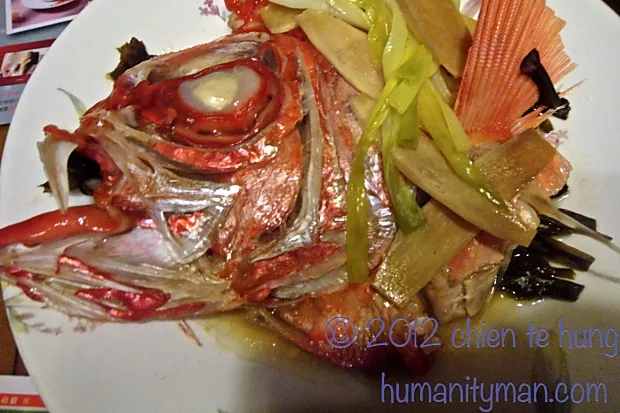 真鯛？鯛魚乎？