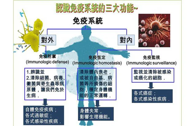 罹患癌症非關運氣，是免疫不好！