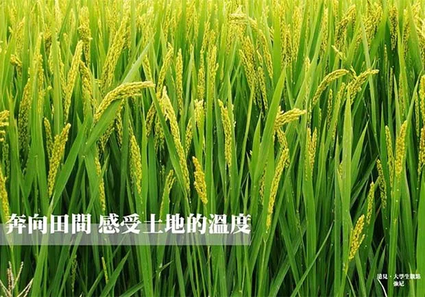 奔向田間，感受土地的溫度！