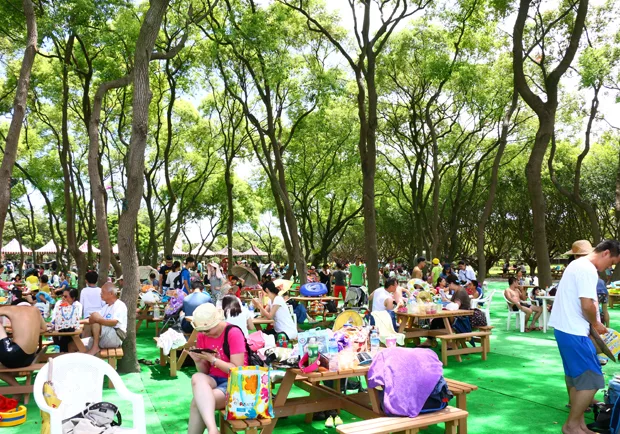 知卡宣公園擁抱芬多精 東大門夜市享特色美食