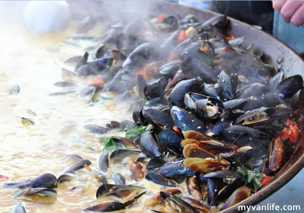 海灣邊的鮮甜海風 我在西雅圖潘灣淡菜節