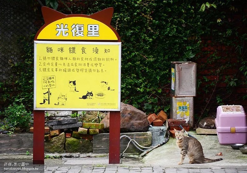 煤礦與貓咪之間的爭寵:猴硐車站_img_32
