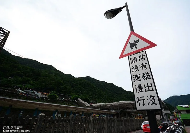 煤礦與貓咪之間的爭寵:猴硐車站_img_4