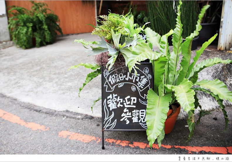 讓植物進入工廠 重新詮釋空間的意義_img_23