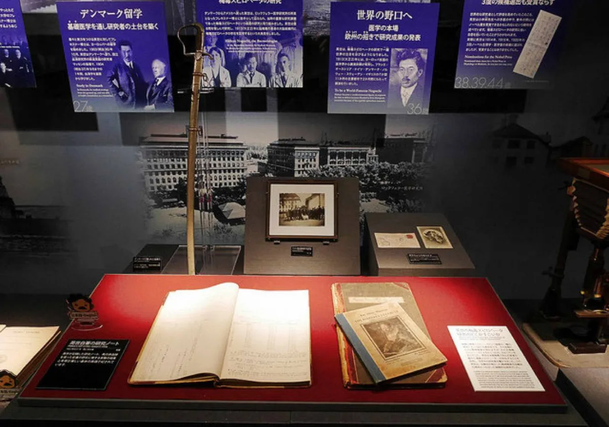 認識日幣一千元上的人:野口英世、長濱猪苗代湖餵天鵝、水鴨_img_26