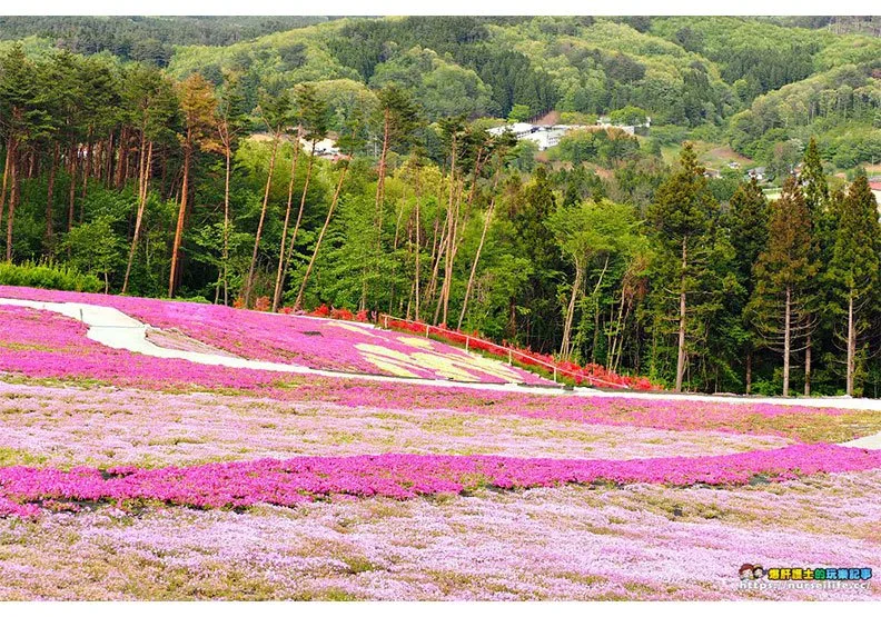 福島的夏日鐵道與租車自駕小旅行_img_34