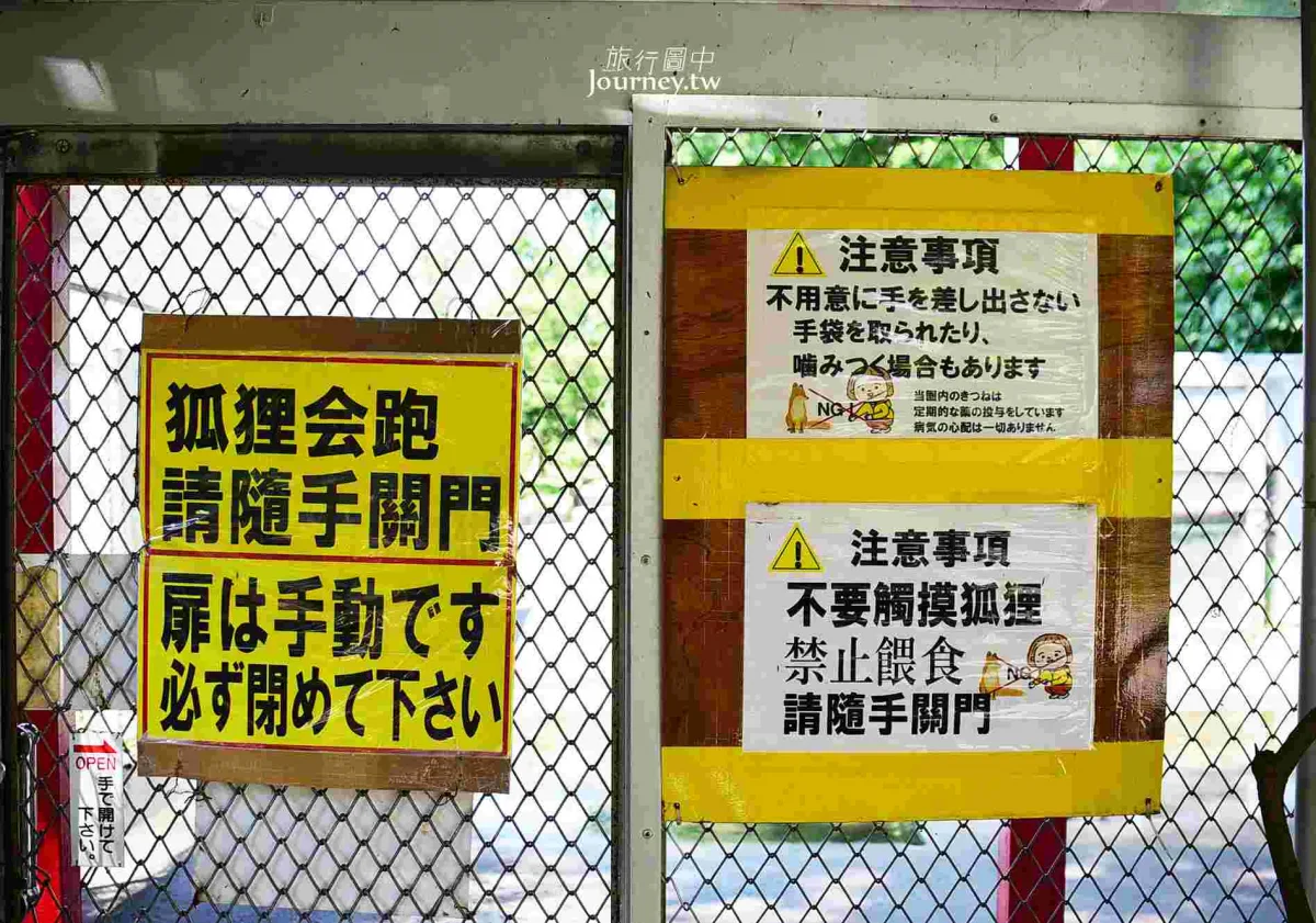 60隻狐狸的萌學園:北見狐狸牧場_img_13