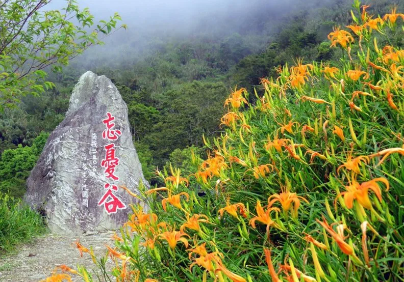 夏日限定:網搜桃園、台南、台東熱門賞花路線!_img_14
