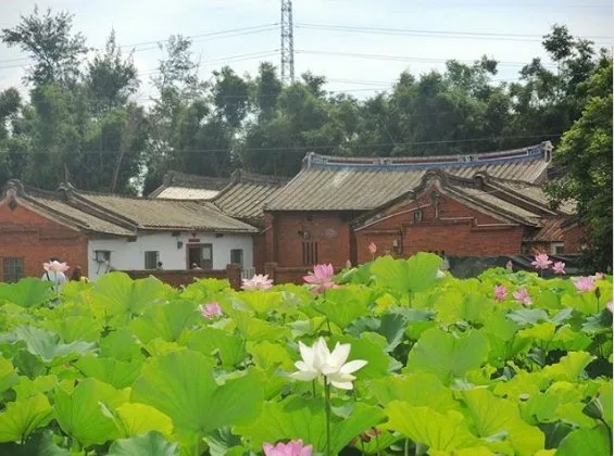 夏日限定:網搜桃園、台南、台東熱門賞花路線!_img_2